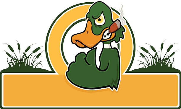 Angry Mallard señal - ilustración de arte vectorial