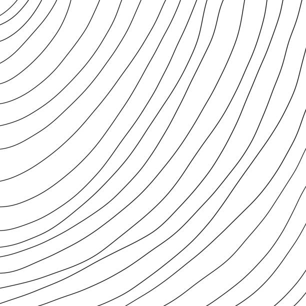 istock Black and White Digital Paper with Stripes. Black Curves on White Background. 1539565847