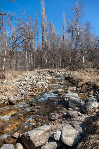 istock Vesnovka river in early spring in Almaty mountains 1539573417
