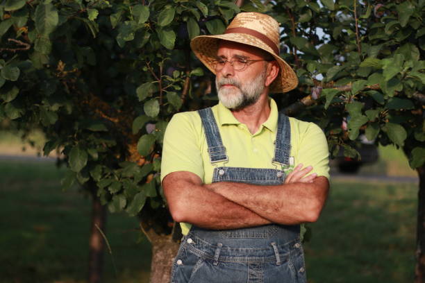 istock Mature man shows his rich fruits 1539573692