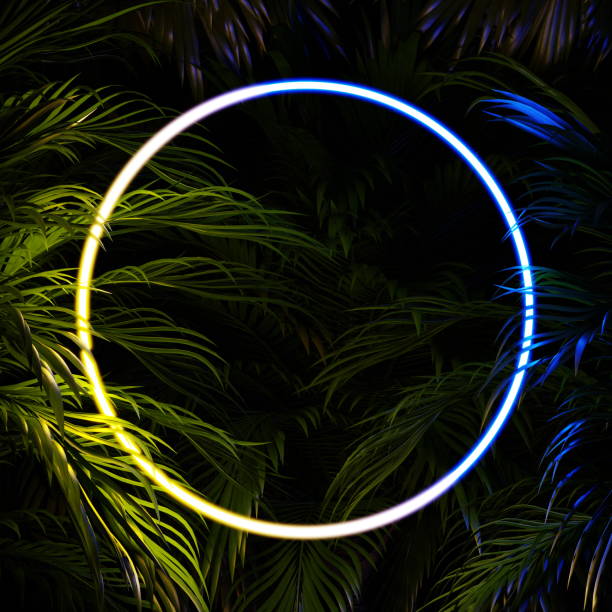 istock Tropical foliage at night in the jungle, neon glow, circle ring leaves. 3d render 1539588766