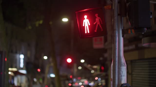 pedestrian crossing with green and red light in Paris, France