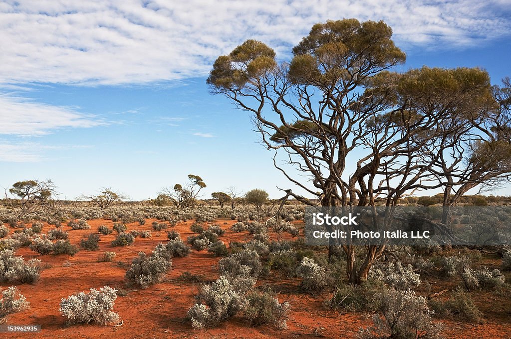 Paisagem da Austrália - Royalty-free Austrália Foto de stock