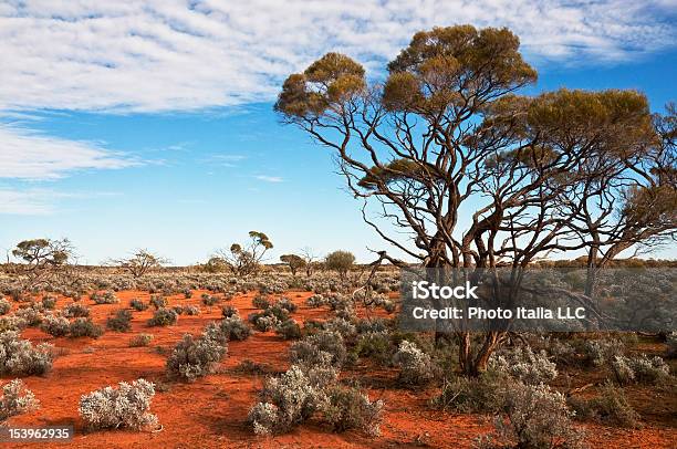 Paisagem Da Austrália - Fotografias de stock e mais imagens de Austrália - Austrália, Deserto australiano, Território do Norte