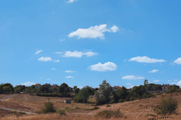 istock Dry scenic meadow landscape 1539631842