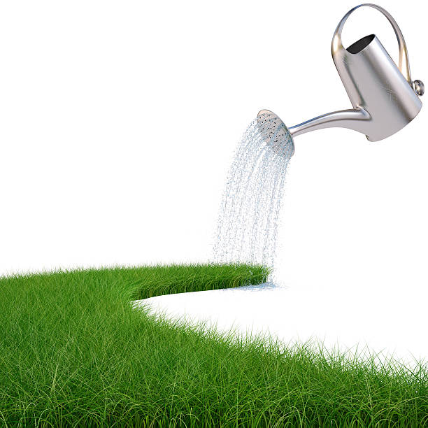 istock Stainless watering can pouring water on grass 153964168