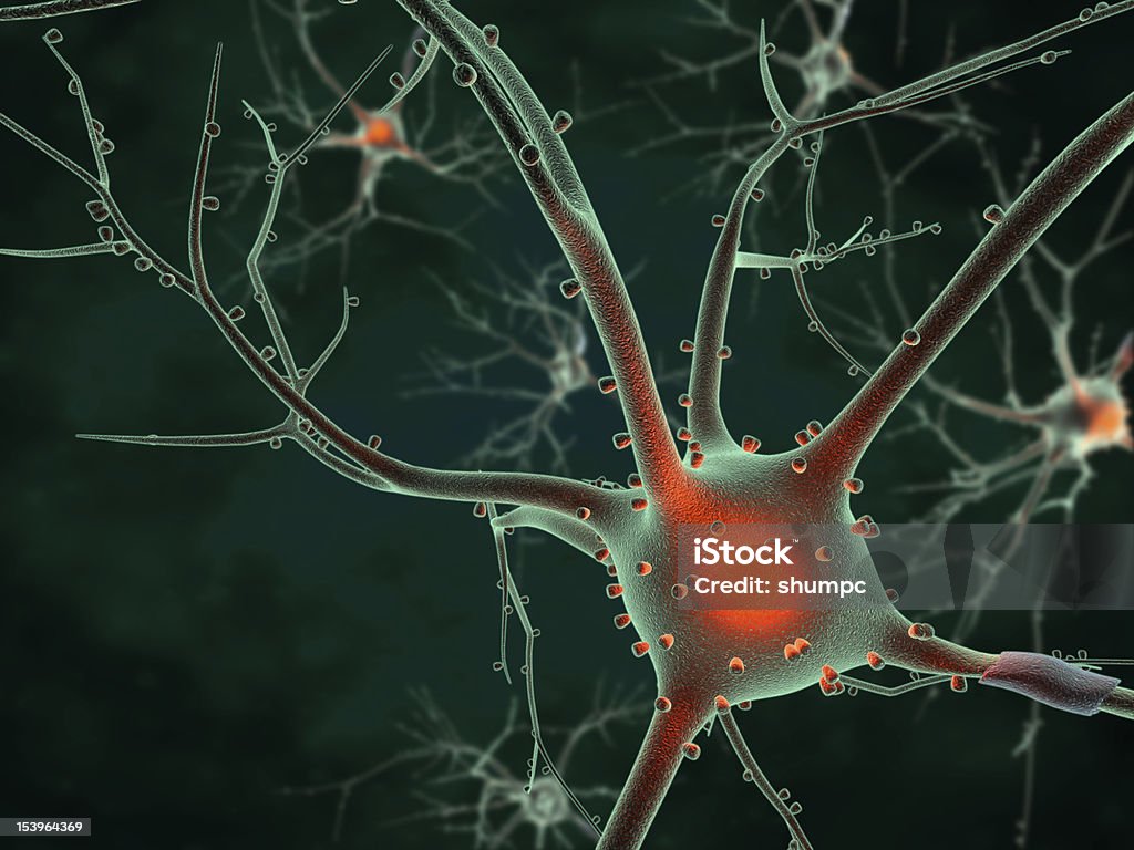 Cuerpo de células neurona - Foto de stock de Anatomía libre de derechos