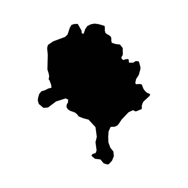 mapa státu kano, administrativní rozdělení země nigérie. vektorová ilustrace. - kano stock ilustrace