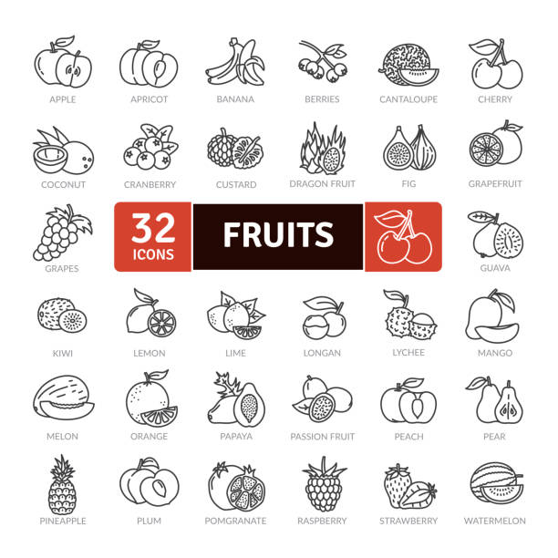 Fruits Fruit Healthy eating Thin Line Pack. Vector scalable icons longan stock illustrations