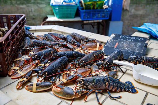 Fresh lobsters and seafood on french farmer market in Normandy, France