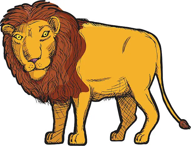 Vector illustration of Lion Drawing