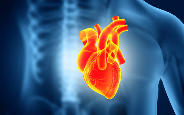 istock Heart attack and heart disease. 3d illustration 1539733135