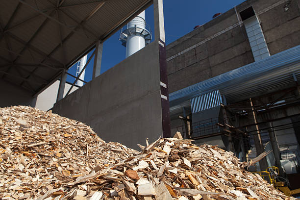 Photo of freshly made piles of wood chips stock photo