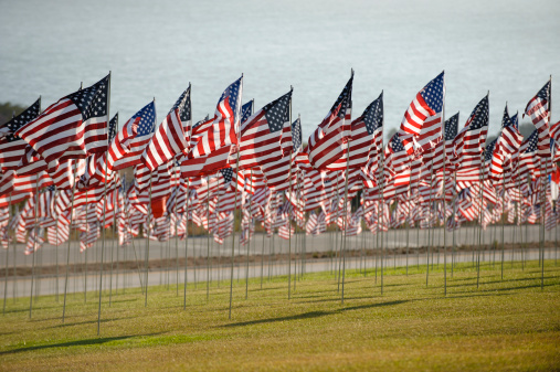 911 memorial, field of flags on a hillside overlooking the ocean