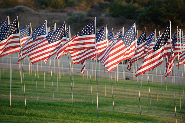 istock field of american flags by the roadside 153974578