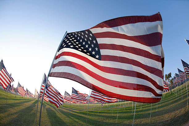 istock field of american flags wide angle 153974580