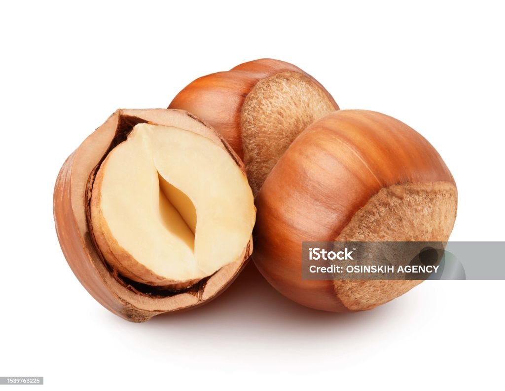 Halzelnut Background Hazelnut Isolated On White Background Stock Photo - Download Image Now ...