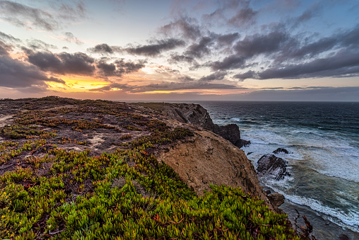 Dramatic sunset over the atlantic ocean in Algarve. autochthonous plants of the region. Portugal