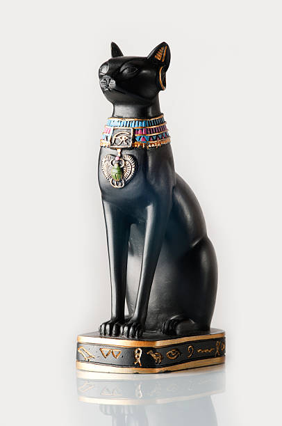 Cтоковое фото Египетский black cat