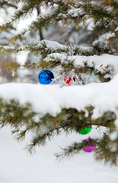 christmas ball und schneeflocken auf den pine tree - christmas decoration photography themes christmas ornament stock-fotos und bilder