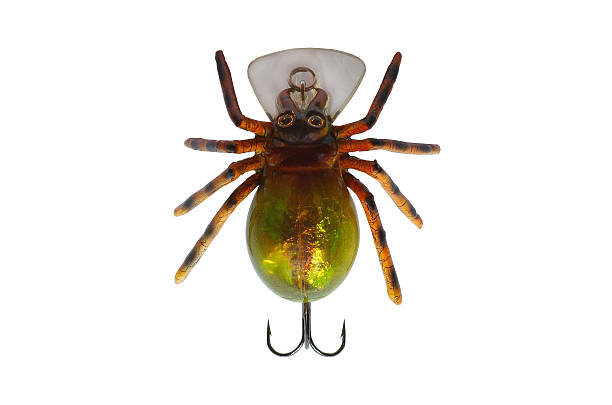 istock spider fishing lure 153977892