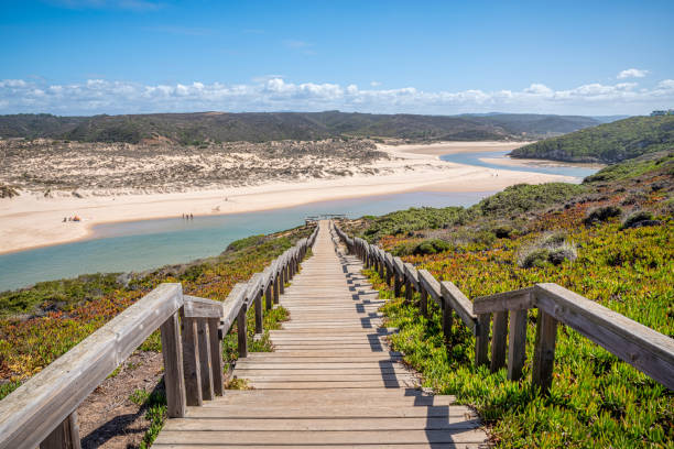 istock Amoreira beach wooden path 1539793759