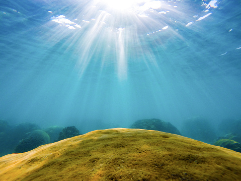 A green stone illuminated by sunlight in the clear blue water. Sunrays penetrate the water.
