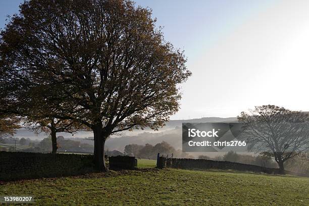 Mystic Dawn Stockfoto und mehr Bilder von Agrarbetrieb - Agrarbetrieb, Anhöhe, Baum
