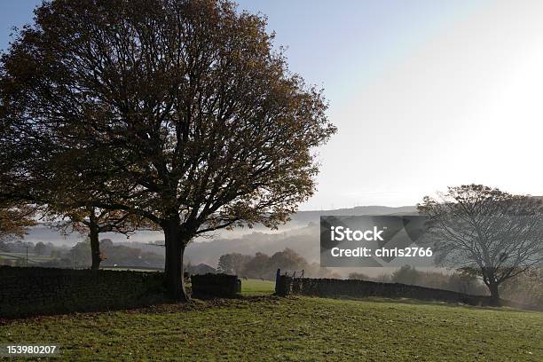 Mystic Amanhecer - Fotografias de stock e mais imagens de Agricultura - Agricultura, Amanhecer, Animal Doméstico