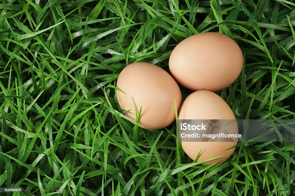 Drei Eier - Lizenzfrei Braun Stock-Foto