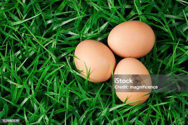 Drei Eier Stockfoto und mehr Bilder von Braun - Braun, Drei Gegenstände, Ei