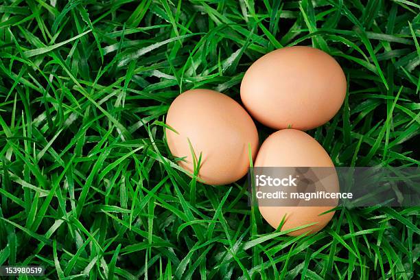 Tres De Huevos Foto de stock y más banco de imágenes de Acontecimiento - Acontecimiento, Agricultura, Alimento