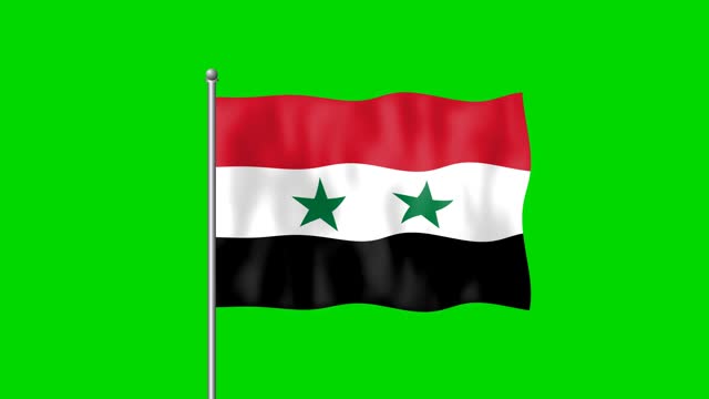 Syria flag waving in the wind on green screen footage background. 4k