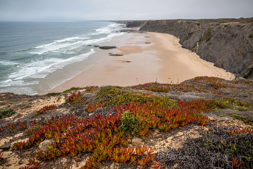 Low Tide at Ponta da atalaia on the western Portuguese shore . Aljezur region, Vicentine Coast, Algarve, Portugal