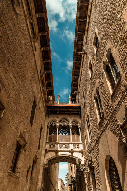 istock Carrer Del Bisbe Bridge, Barcelona, Spain 1539839858