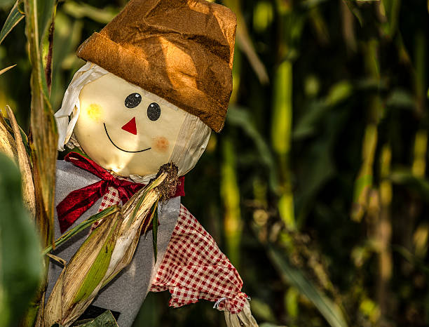 Thanksgiving Scarecrow stock photo
