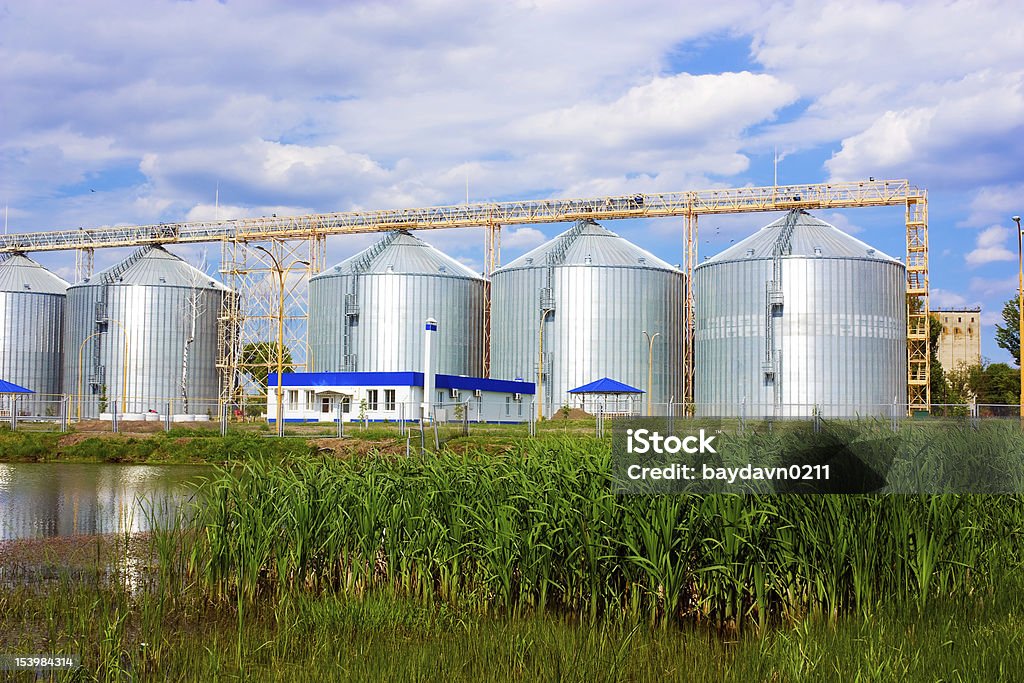 Elevador agrícola - Foto de stock de Agricultura royalty-free