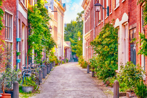 istock Alley in Haarlem, Netherlands 1539859928