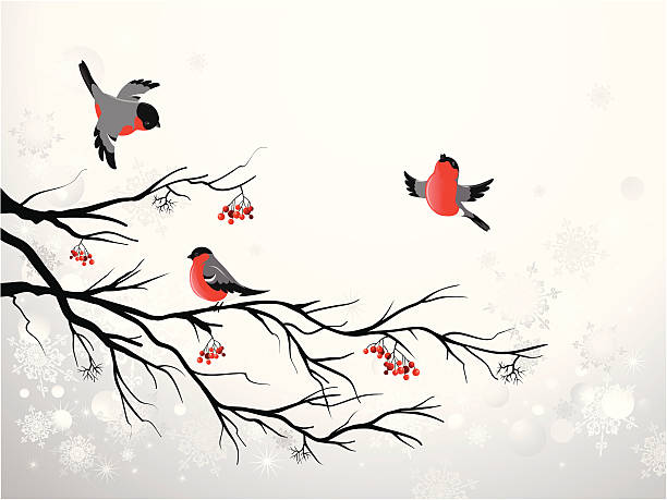 ветвь и птиц бык finch - tree winter bird branch stock illustrations