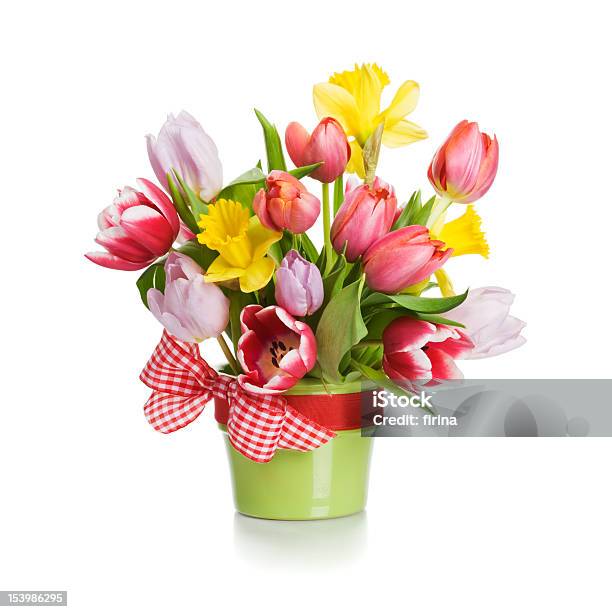 Tulips And Daffodils Stock Photo - Download Image Now - Tulip, Daffodil, Cut Out