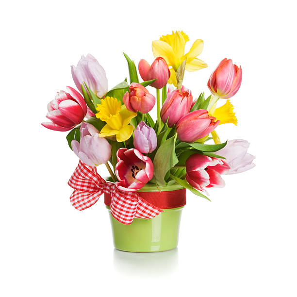 тюльпаны и желтый - daffodil flower yellow vase стоковые фото и изображения