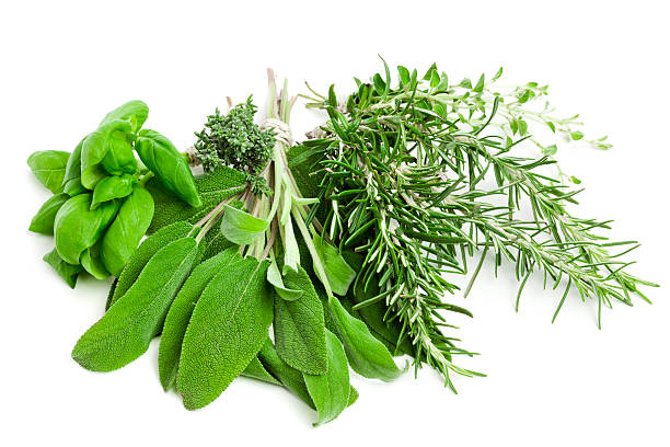 erbe aromatiche fresche - mixed herbs foto e immagini stock