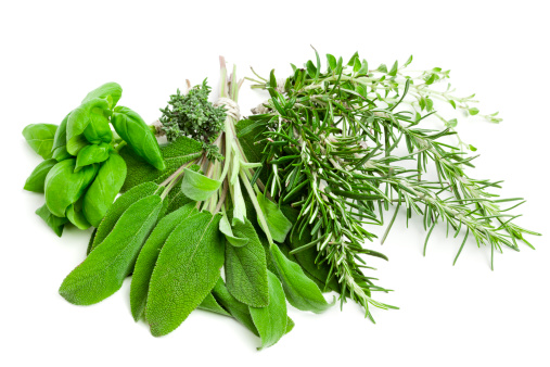 Variety of fresh herbs on white background.