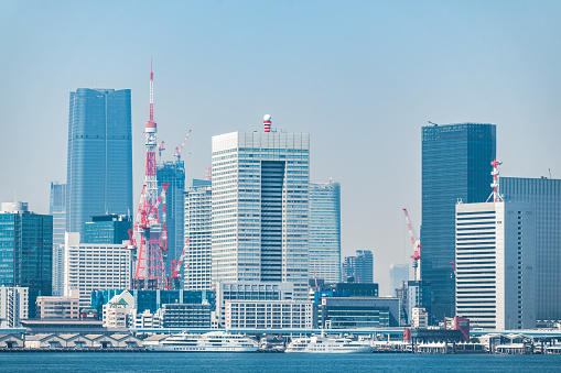 Tokyo Tower seen from Toyosu Market