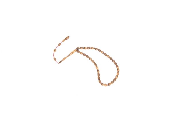 istock Islamic prayer beads or tasbih isolated on white background 1539881891