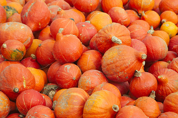 Pile of pumpkins for sale stock photo