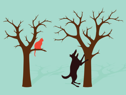 Barking Up The Wrong Tree, a dog standing on its hindlegs barking up the wrong tree while the cat shelters in another