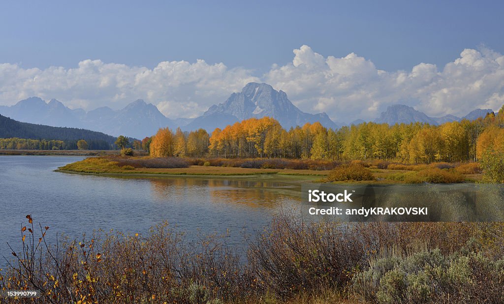 Fall colors in the mountains View of aspen trees displaying wonderful, fall colors. Picture taken on a sunny, late September noon from the banks of the Snake river at Grand Teton National Park, Wyoming, USA. Mt Moran in the background. Aspen Tree Stock Photo