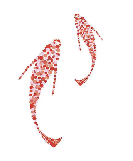 Vector illustration of KOI for good luck