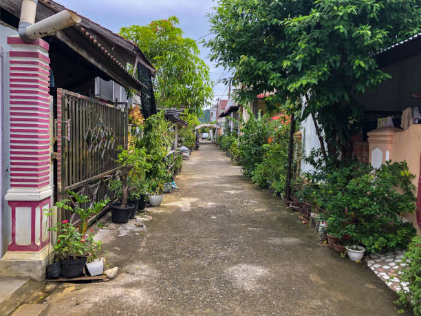 istock Small alley after rain 1539956982